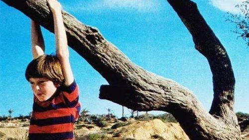 Misunderstood filmas žiurėti online