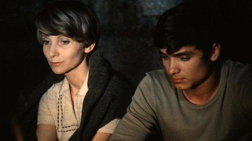 Meeting in July filmas žiurėti online