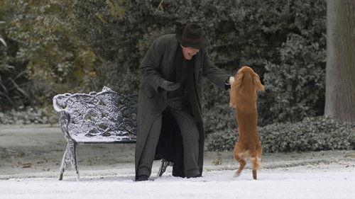 Dynas Spenlis filmas žiurėti online