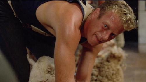 Sunday Too Far Away filmas žiurėti online