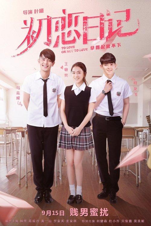 To Love or Not to Love filmas online