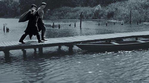 ШТТЛ filmas žiurėti online