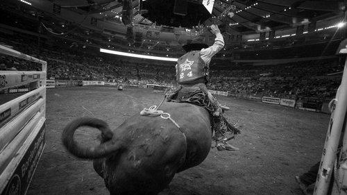 8 Seconds filmas žiurėti online