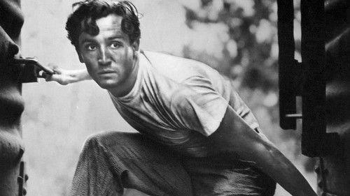 Cry of the Hunted filmas žiurėti online