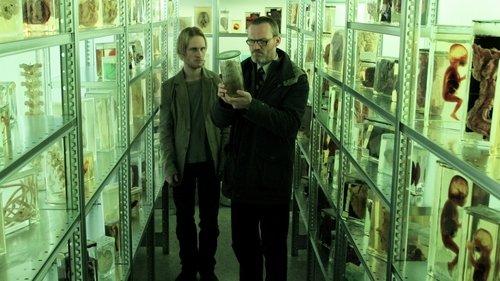 Jar City filmas žiurėti online