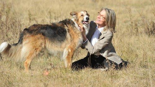 Darling Companion filmas žiurėti online