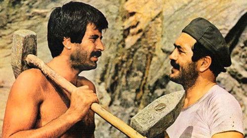 Arkadaşım filmas žiurėti online