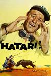 Hatari!