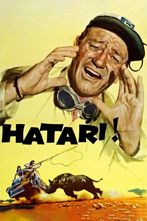 Hatari! filmas online