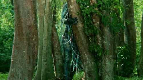 Sting of Death filmas žiurėti online