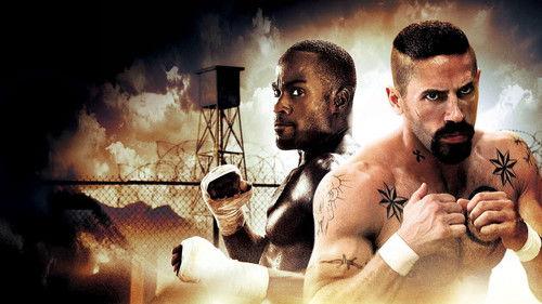 Čempionas 3: Išpirkimas filmas žiurėti online