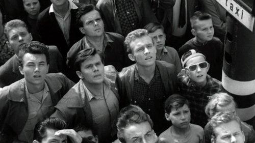 Puppies filmas žiurėti online