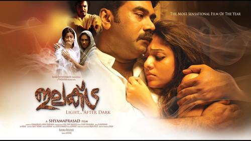 Elektra filmas žiurėti online