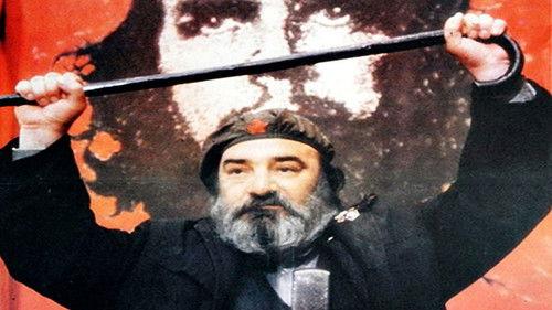 How I Was Systematically Destroyed by Idiots filmas žiurėti online