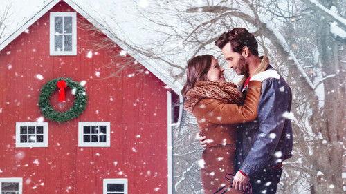 A Furry Little Christmas filmas žiurėti online