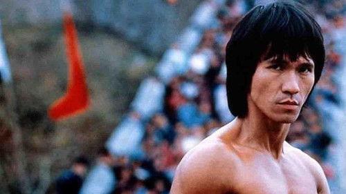 Fire on the Great Wall filmas žiurėti online