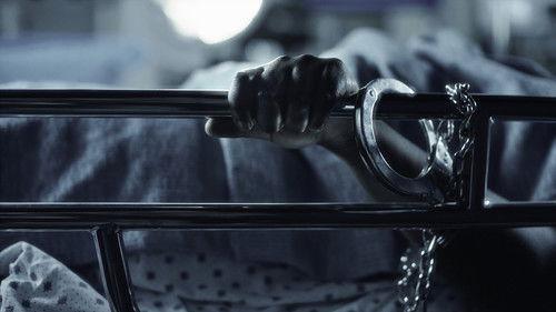 Belly of the Beast filmas žiurėti online