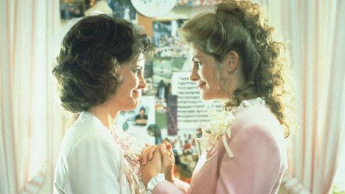 Steel Magnolias filmas žiurėti online