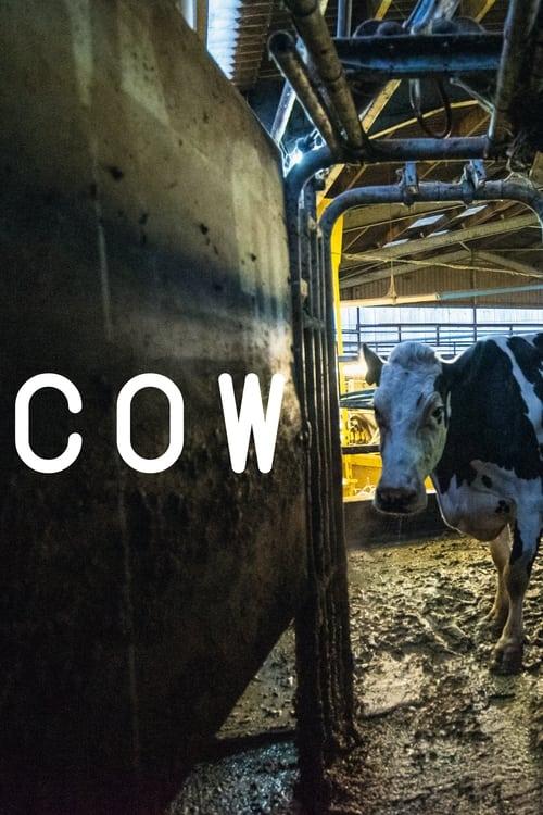 Cow filmas online