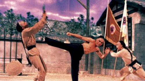 Lion vs. Lion filmas žiurėti online