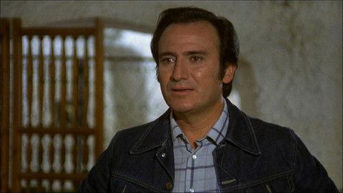 Todo es posible en Granada filmas žiurėti online