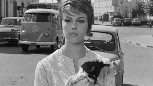 La bella di Lodi filmas žiurėti online