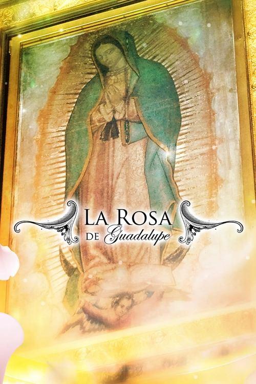 La rosa de Guadalupe filmas online