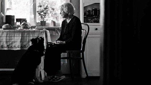 Time to Die filmas žiurėti online