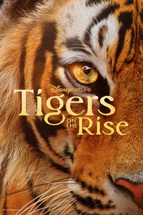 Tigers on the Rise filmas online