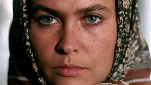 Berlin in Berlin filmas žiurėti online