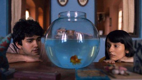 What are the Odds? filmas žiurėti online