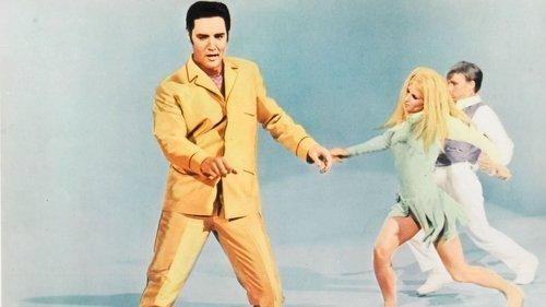 Live a Little, Love a Little filmas žiurėti online