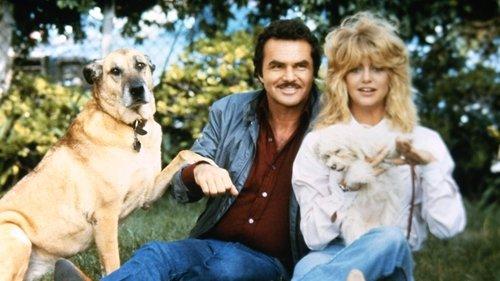 Best Friends filmas žiurėti online