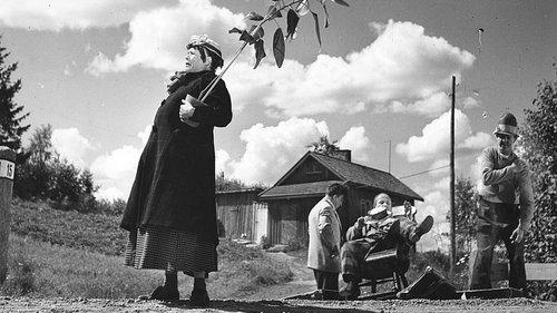 Pekka Puupää kesälaitumilla filmas žiurėti online