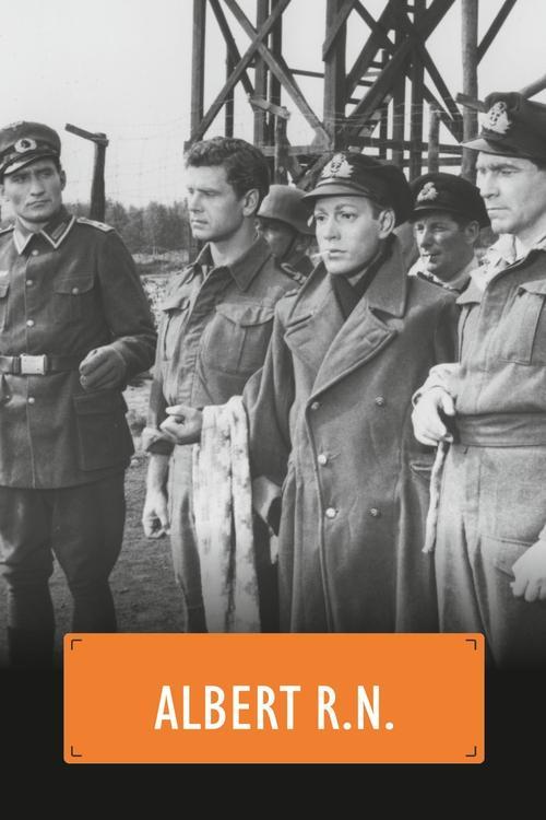 Albert R.N. filmas online