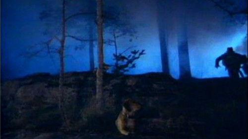 The Legend of Hillbilly John filmas žiurėti online