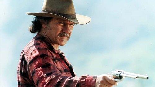 Gunslinger's Revenge filmas žiurėti online