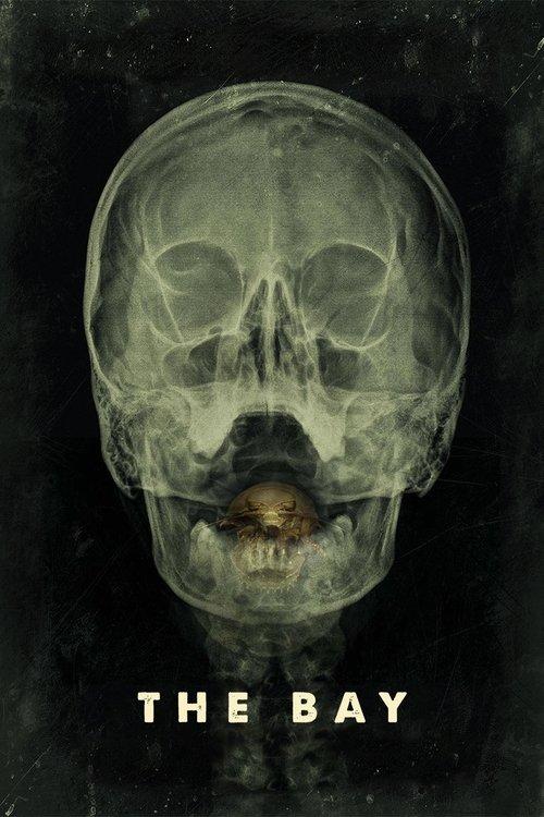 Baimės įlanka filmas online