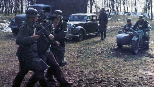 Лагер Ниш filmas žiurėti online