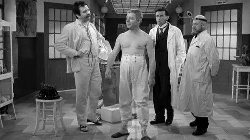 Der brave Soldat Schwejk filmas žiurėti online