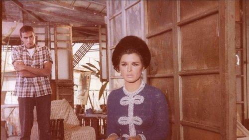 The Choice filmas žiurėti online