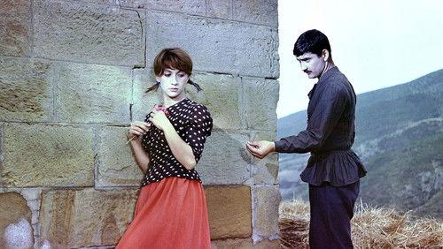 You Can't See What You Have Seen filmas žiurėti online