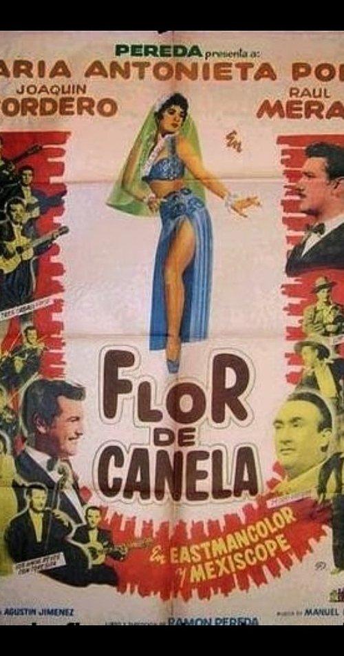 Flor de canela filmas online