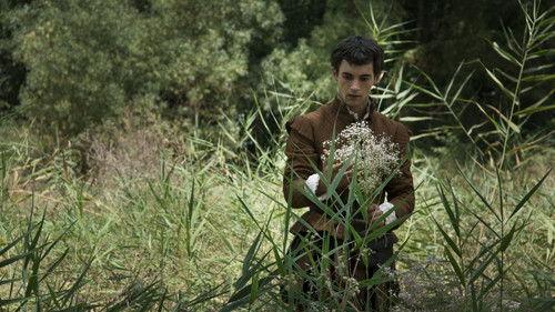 A Criança filmas žiurėti online