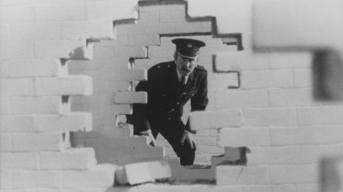 A Sense of Freedom filmas žiurėti online