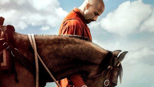 Mustangas filmas žiurėti online