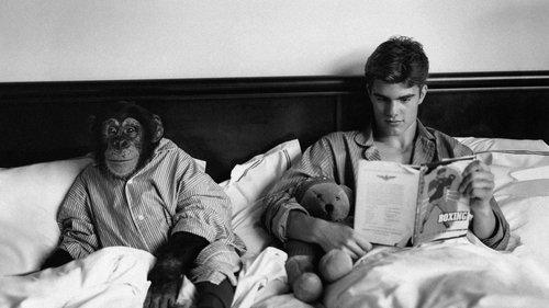 Chop Suey filmas žiurėti online