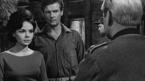 No Man's Land filmas žiurėti online