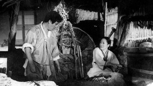 Weeds filmas žiurėti online