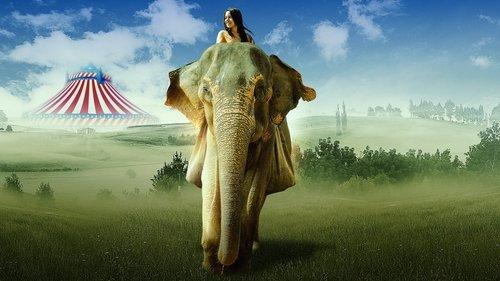 Saving Flora filmas žiurėti online